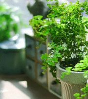 西双版纳专属于你的开运指南，助你鸿运当头福满身！