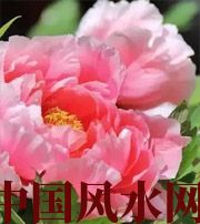 西双版纳预示你财运上升，姻缘可成的梦境，快来看看吧！