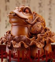 西双版纳解读金蟾最合适的位置，这样摆放更招财！