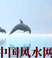 西双版纳做梦梦到这些，是要富裕的征兆！